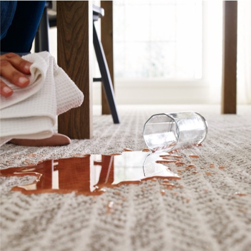 Carpet Spill | Hubbard Flooring Studio