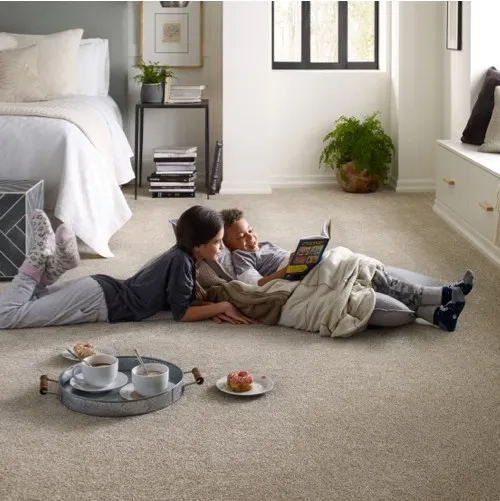 After-Carpet-Install-img