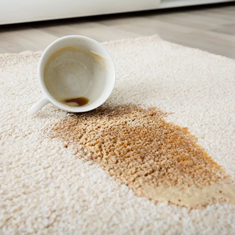 Rug-care-spills-img